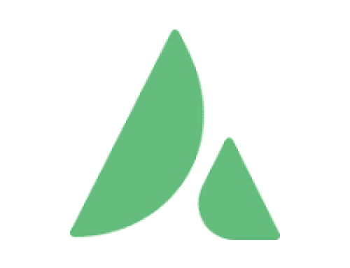 WordPress and live builder